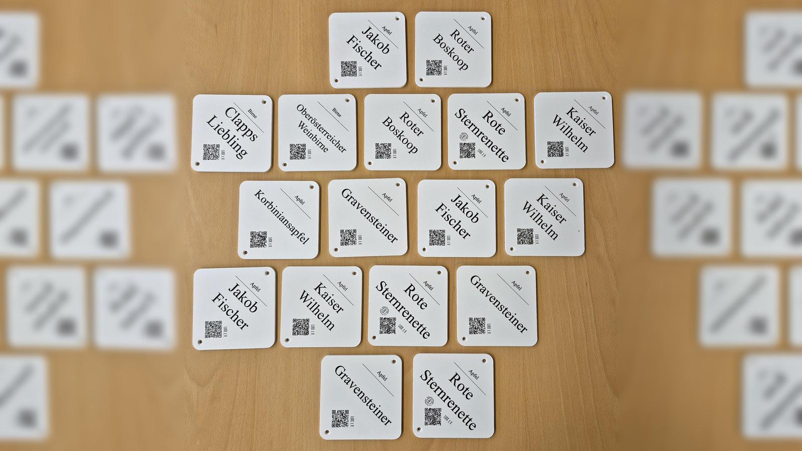 Gemeinde-bringt-Sortenschilder-an-Obstb-umen-an