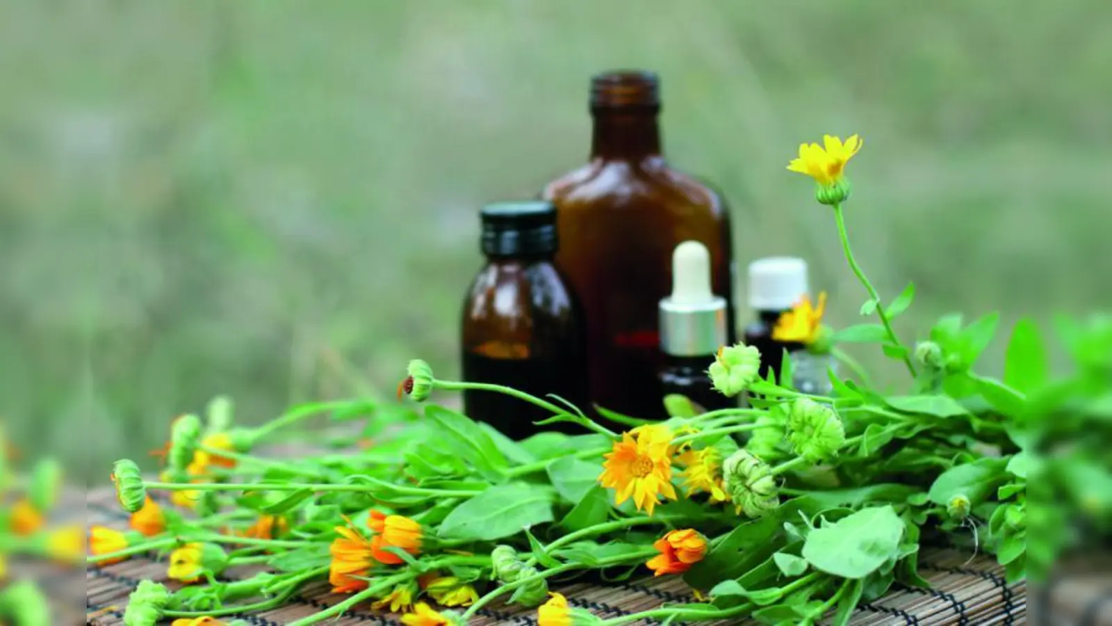 Samuel Hahnemann, ein deutscher Arzt, entwickelte im 19. Jahrhundert die Homöopathie. (Foto: photos.com)
