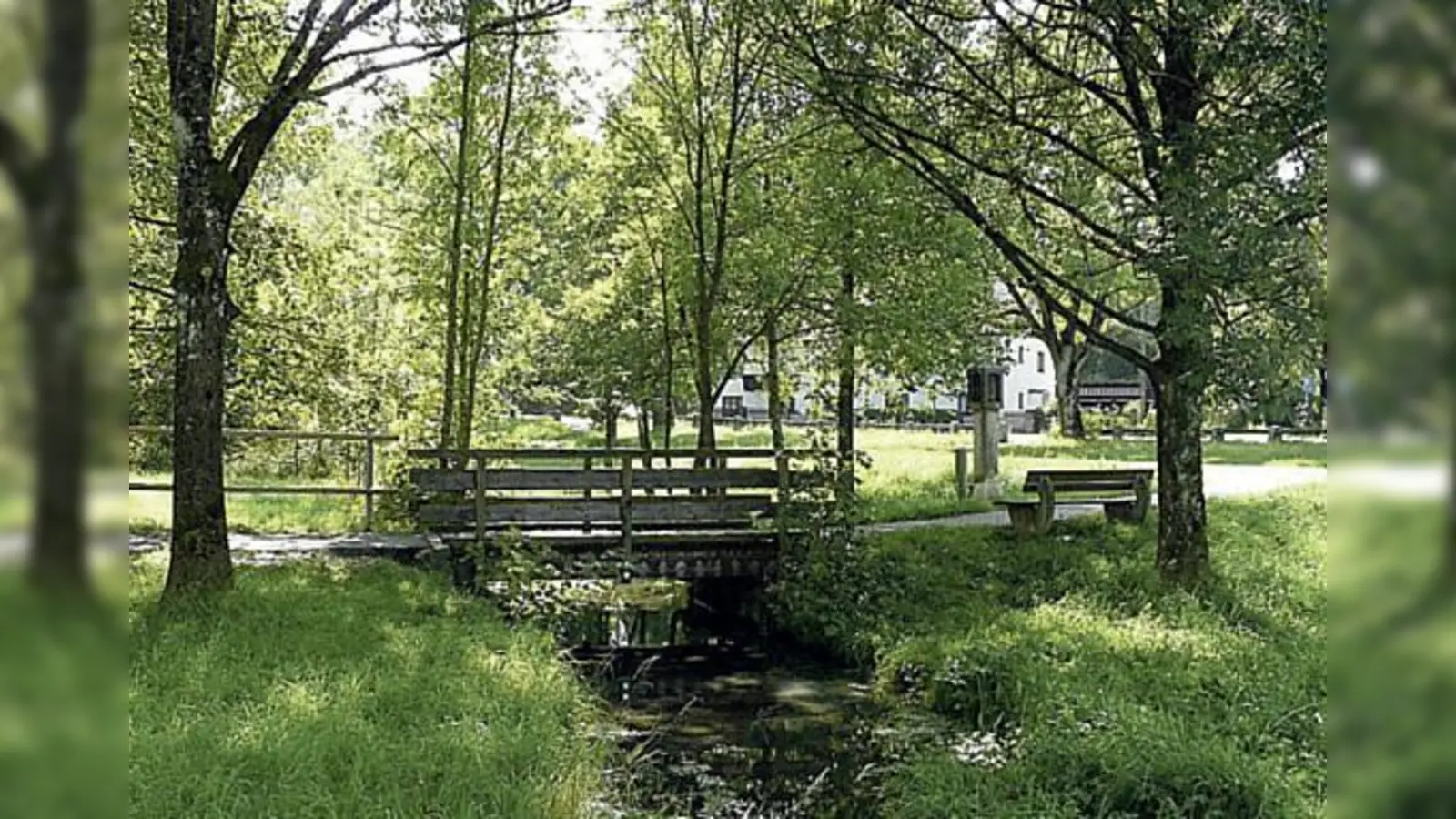 Der Hachinger Bach ist am 21. Juni Veranstaltungsort für vielerlei Musikaufführungen. 	 (Foto: VA)