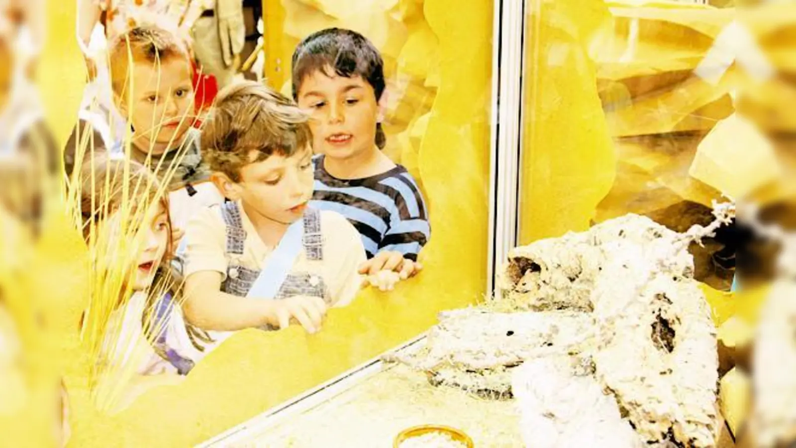 Faszination  (Foto: Anfang März kann man im pep hautnah die Faszination erleben, die der Lebensraum Wüste auf den Menschen ausübt und viele Wüstenbewohner kennenlernen.)