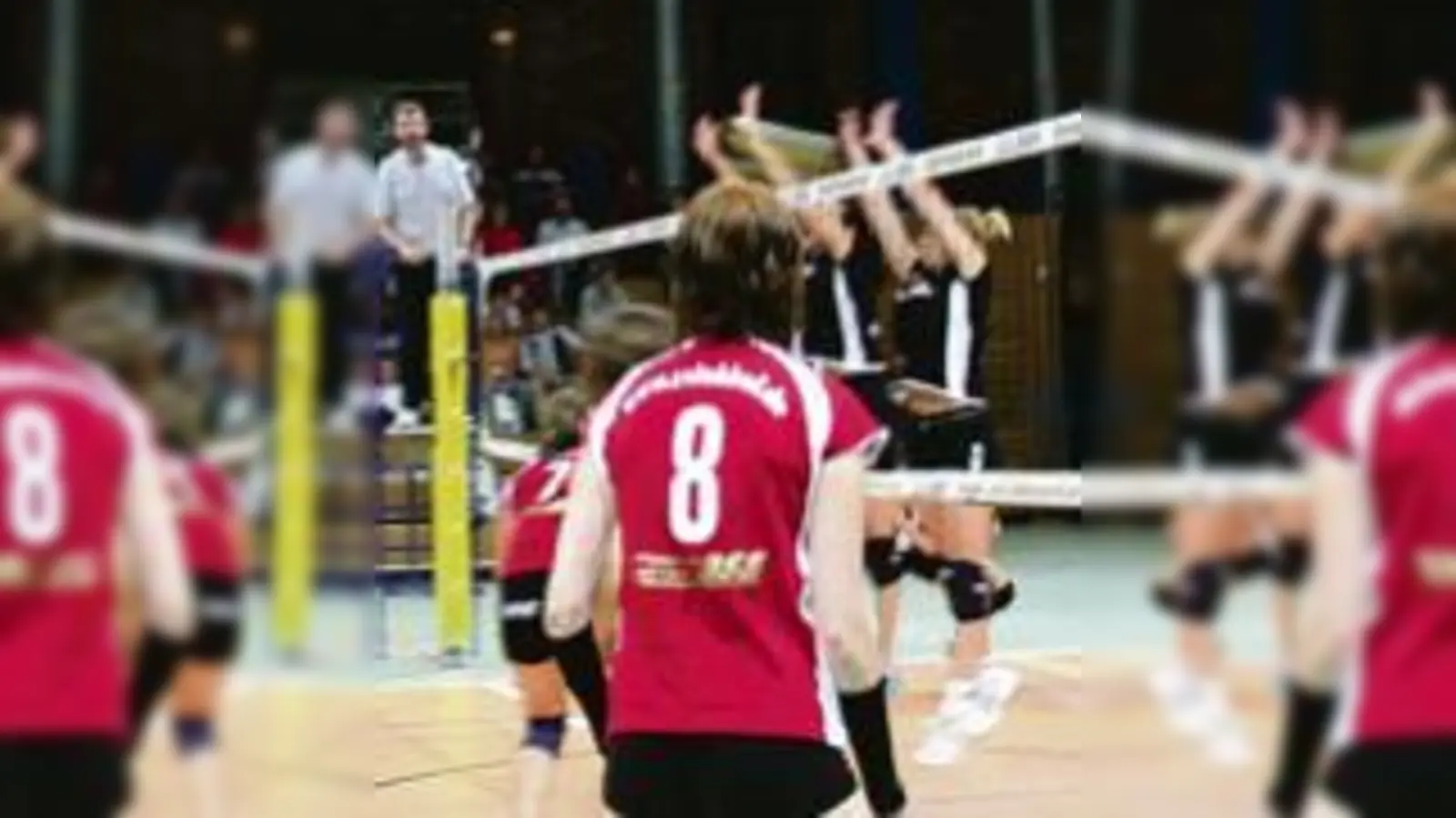 Jäger oder Gejagte? Mit breiter Brust jagen die SVL-Damen dem Aufstieg entgegen.  (Foto: gf)