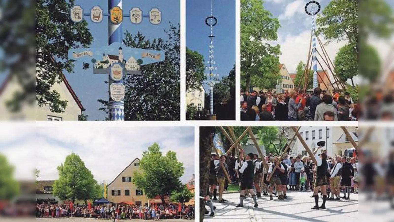 Die neu erschienenen Bildpostkarten erinnern an das Aufstellen des Anzinger Maibaums 2018.	 (Foto: Carl Teine)