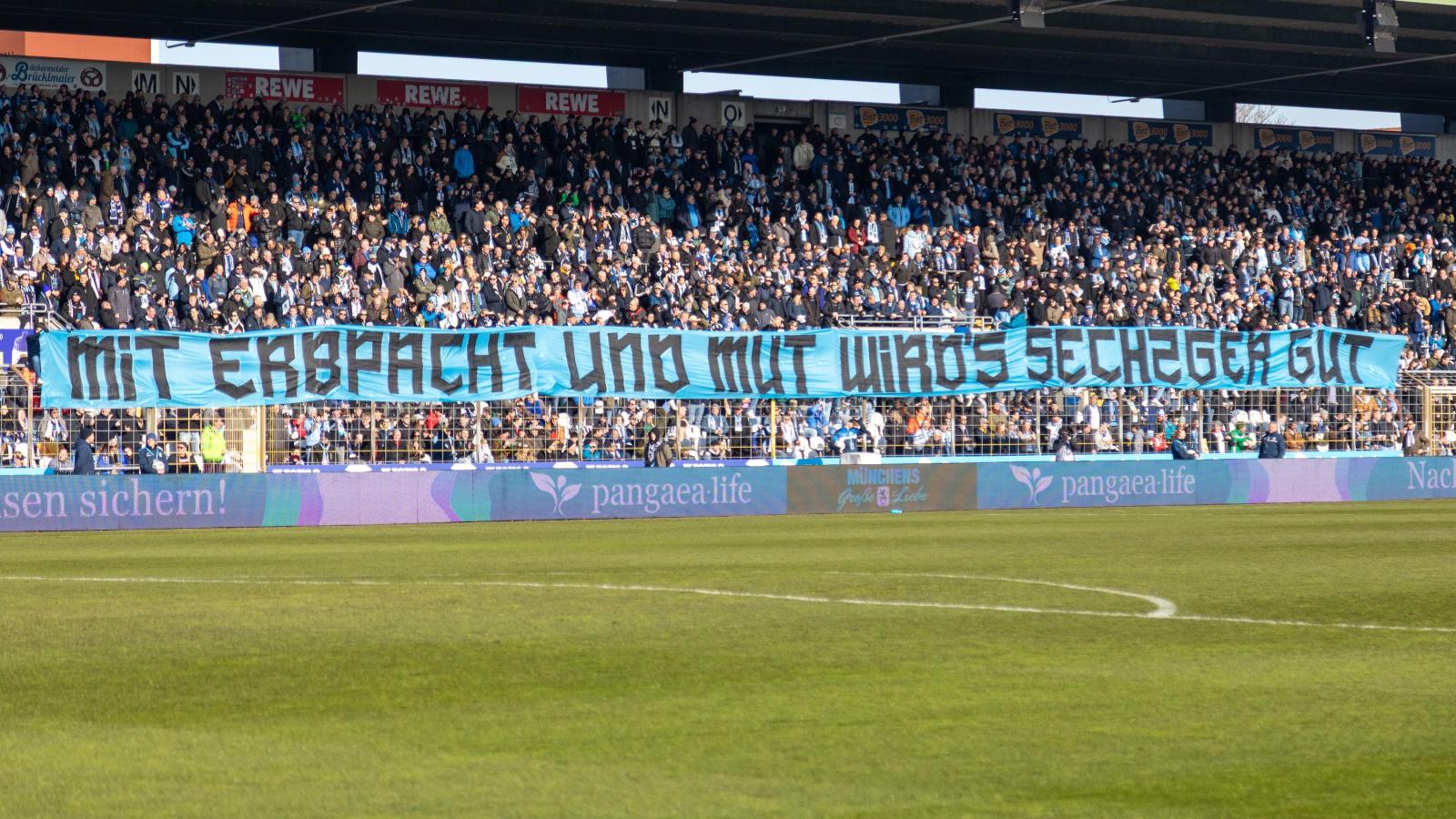 -Keine-weitere-Wahlperiode-Stillstand-