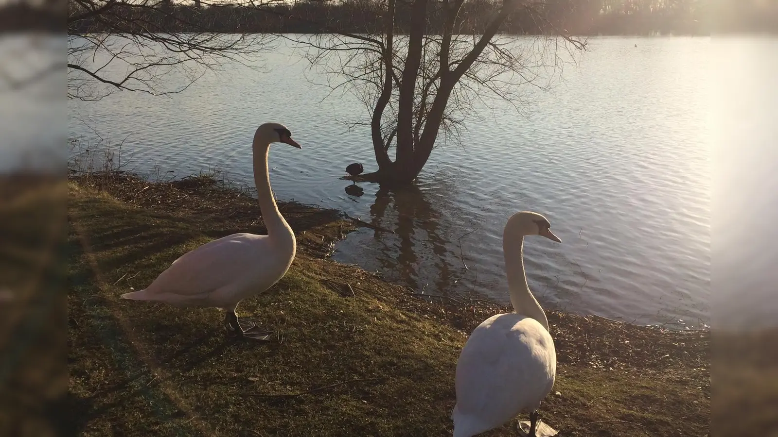 Am Fasaneriesee kann man wandern und bei schönem Wetter auch baden. (Foto: dm)