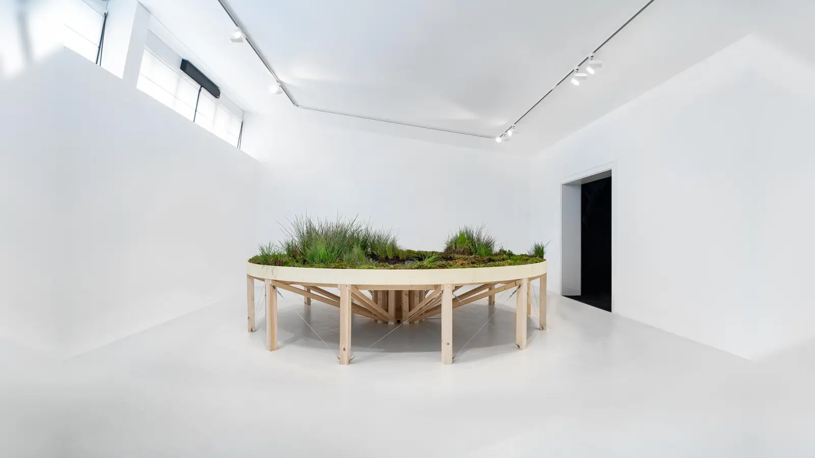 Der "Moorsee" aus Holz, Stahlseilen, Seilspanner, Teichfolie, Pflanzen und Erde aus Bad Feilnbach. (Foto: Patrik Graf)