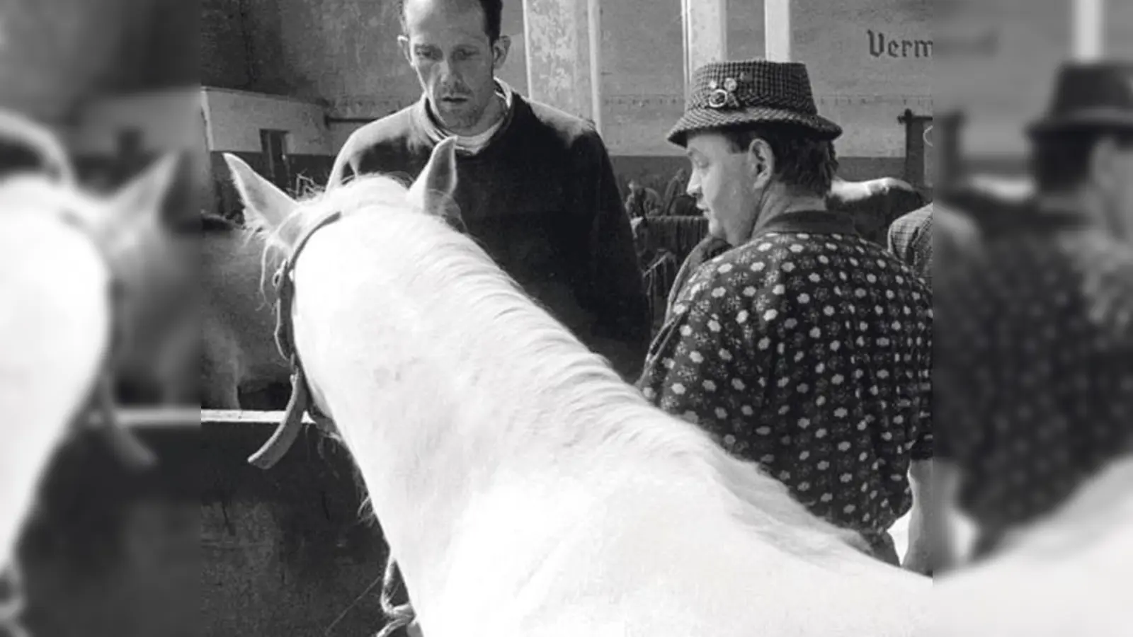 Der Fotograf Andreas Bohnenstengel dokumentierte über Jahre den Pferdemarkt im Viehhof, der dort im Dezember 2006 das letzte Mal stattfand.		 (Foto: Andreas Bohnenstengel)