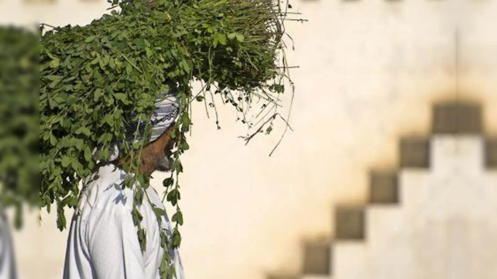 Eindrücke aus dem Oman sind in den nächsten drei Monaten im Lichthof des Rotkreuzklinikums zu sehen. (Foto: Jörg Waste)