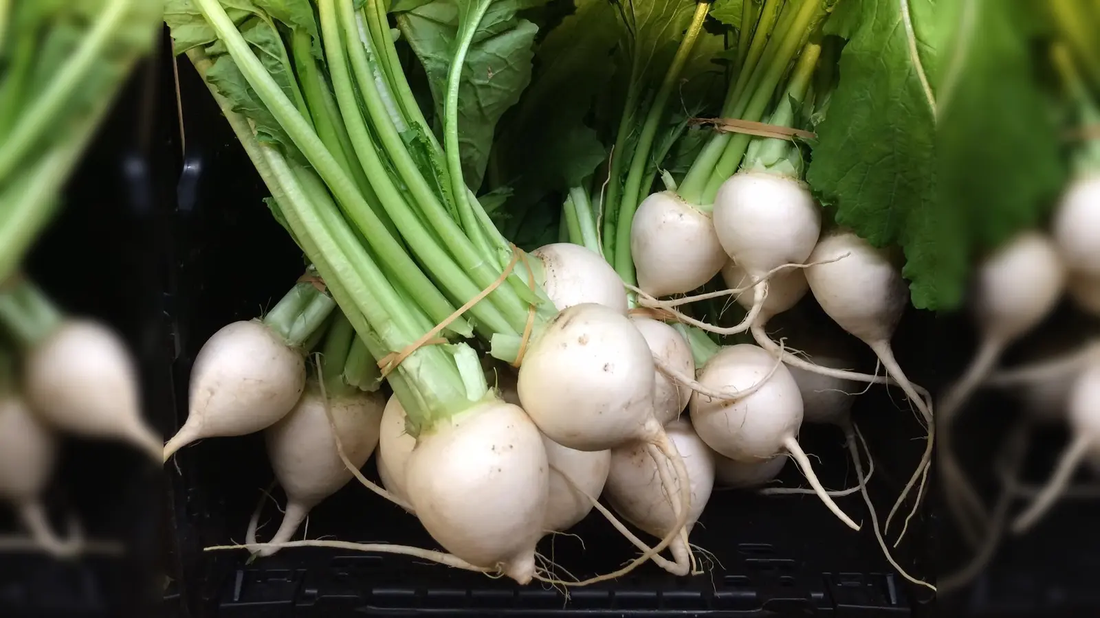 Der vegane Club stellt sich am 5. Juli vor und sucht Mitstreiter. (Foto: dm)