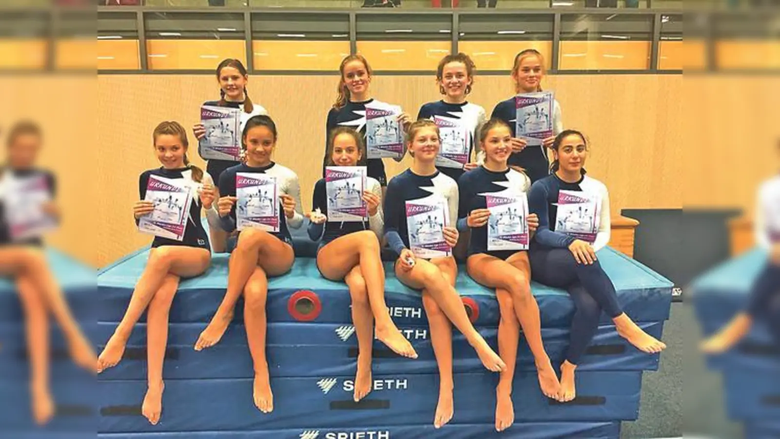 Gute Platzierungen holten sich die SVN-Turnerinnen beim Bayernpokal 2017.	 (Foto: Verein)