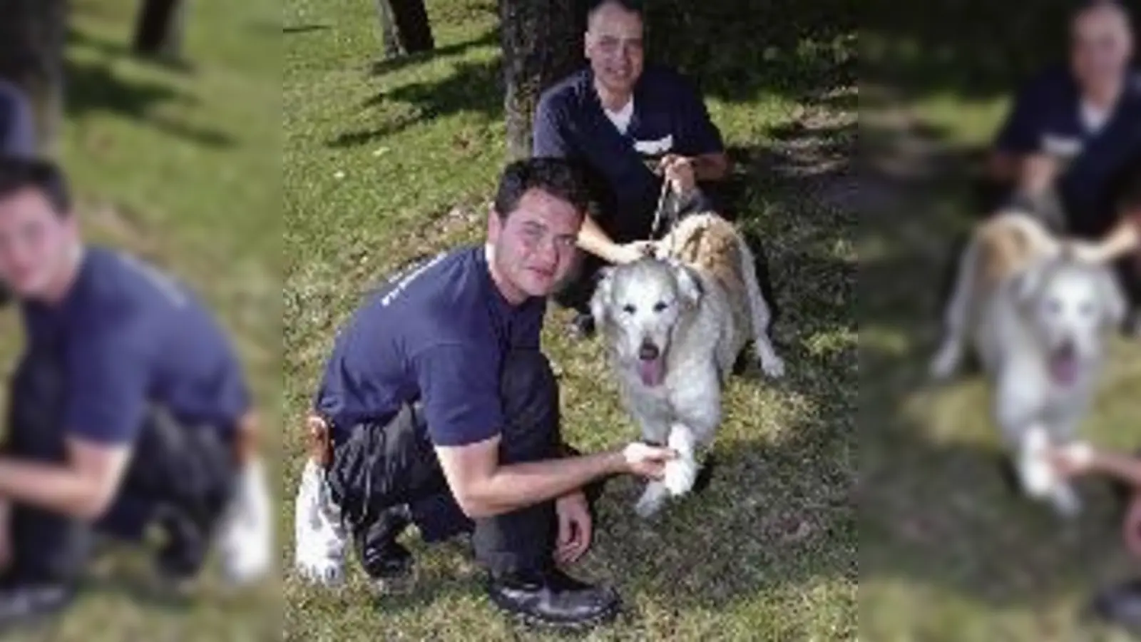 Golden Retriever-Hündin Luna riss sich von der Leine und sprang in den Auer Mühlbch: Die Feuerwehr konnte Luna einen Kilometer flussabwärts aus dem Wasser fischen  und zwar unverletzt.  (Foto: Feuerwehr)