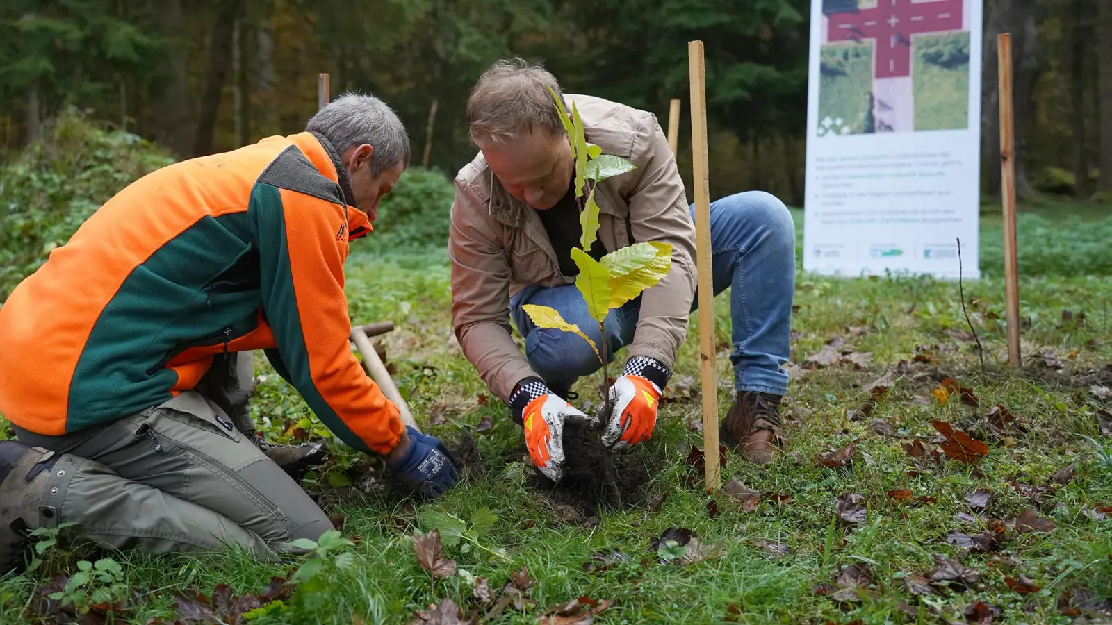 Landrat Robert Niedergesäß pflanzte den ersten Baum im Ebersberger Forst. Am Ende sollen es rund 10.000 Bäume werden. (Foto: Energieagentur EBE)