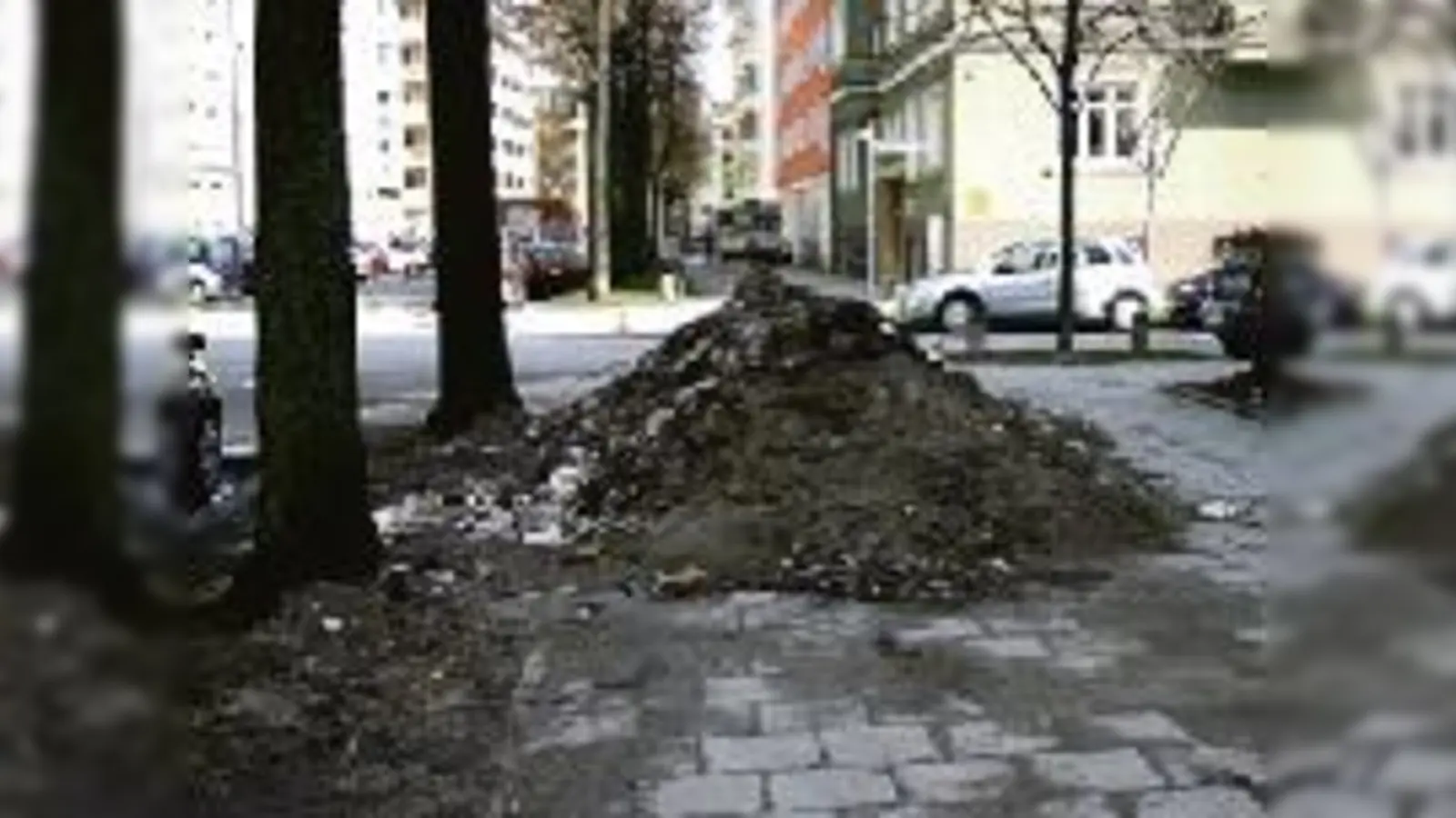 Unzumutbar: Müllhaufen blockieren die Fußwege in der Agnesstraße. 	 (Foto: to)