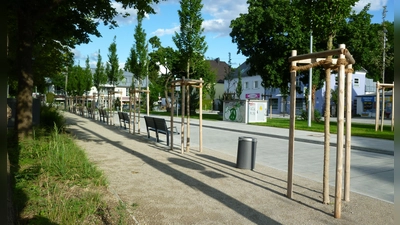 Bei der Bürgerversammlung beantragte ein Stadtteilbewohner, dass am Willibaldplatz statt des Sandstreifens Blumen gepflanzt werden sollten.  (Foto: Beatrix Köber)