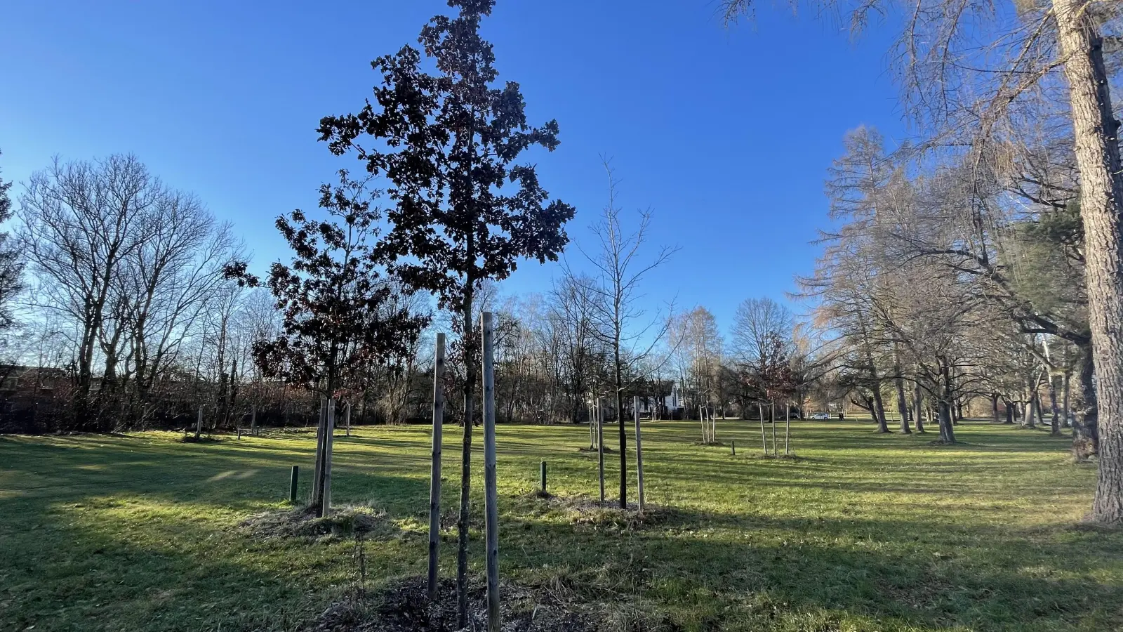 Die FFW im Landkreis Ebersberg beteiligt sich an der Pflanzung von Bäumen.  (Symbolbild: hw)