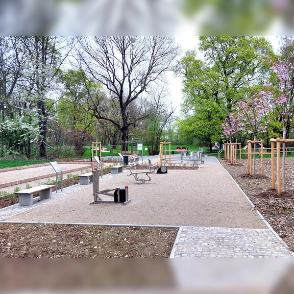 Der Fitnessparcours im Odinpark ermöglicht auf 680 Quadratmetern ein ganzheitliches Training. (Foto: bas)
