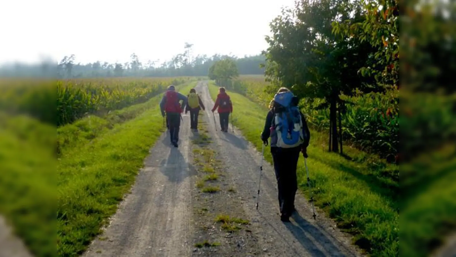 Beim Wandern durch die Natur wieder zu sich selbst finden. Dies ist auf dem Münchner Jakobsweg möglich.  	 (Foto: Michael Kaminski)
