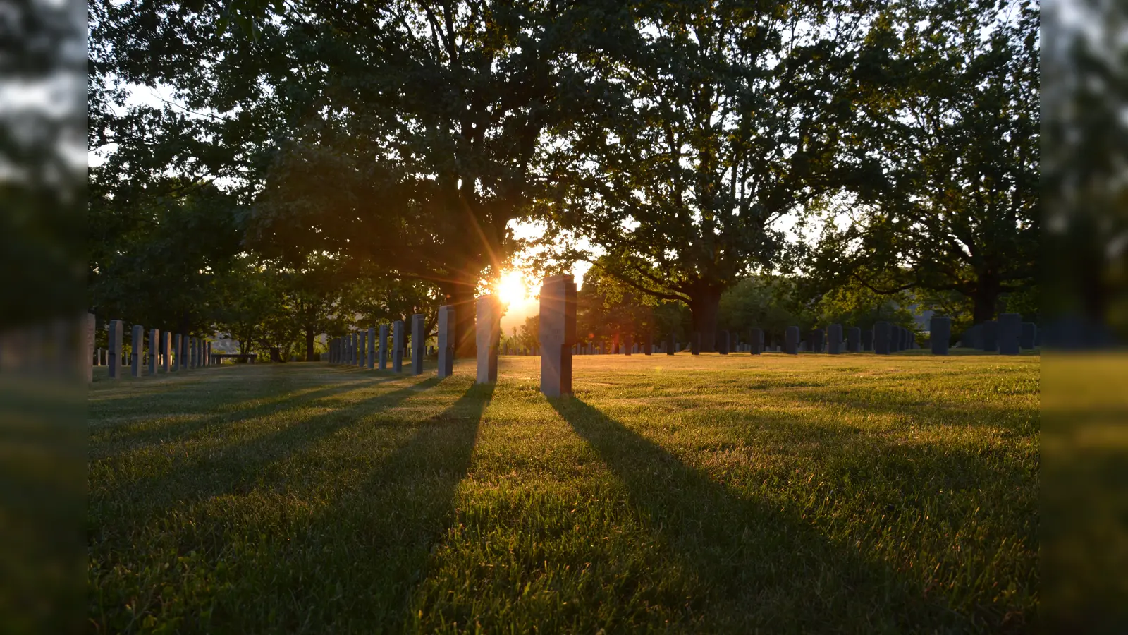 Im Zweiten Weltkrieg fielen über 5 Millionen deutsche Soldaten. In den vom Volksbund ehrenamtlich gepflegten Kriegsgräberstätten - wie hier in Niederbronn-les-Bains - haben viele ihre letzte, würdige Ruhe gefunden.  (Foto: Volksbund Deutsche Kriegsgräberfürsorge)