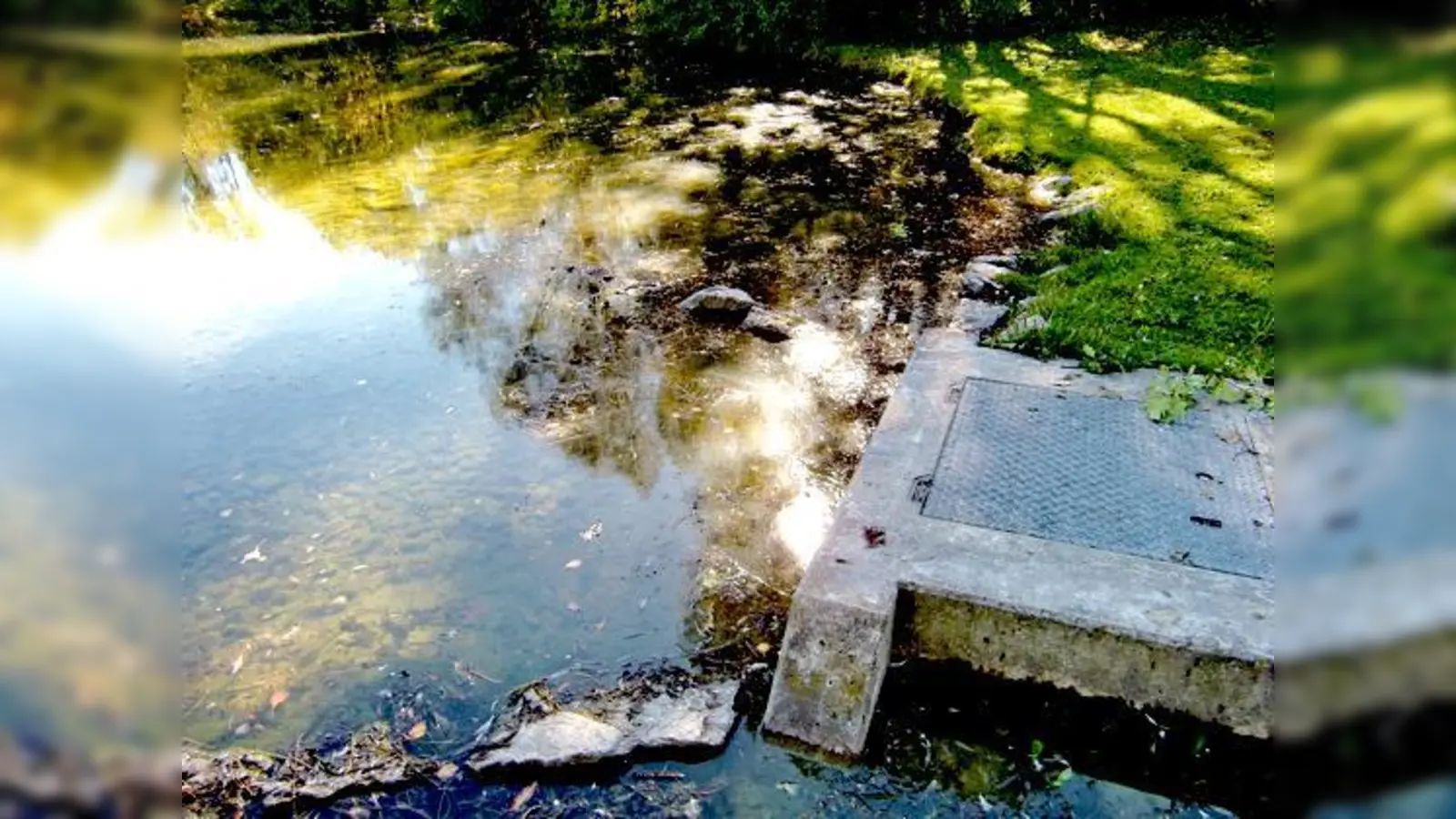 Einst idyllisch, jetzt stellenweise eine verdreckte und stinkende Brühe: Der  Zamilasee soll Anfang 2015 abgelassen und entschlammt werden.	 (Foto: hgb)