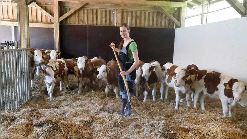 Besonders die Vielseitigkeit und den Umgang mit Tieren schätzen die Auszubildenden in der Landwirtschaft. (Foto: Birgit Gleixner)
