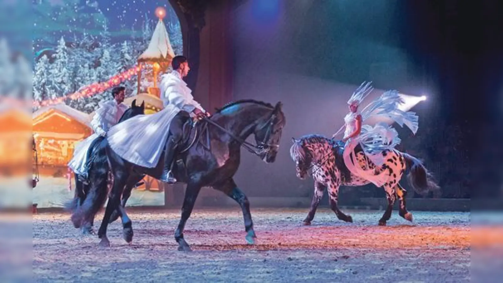 Die Noriker-Expertin Daphne de Visser freut sich sehr, auch in dieser Saison Teil der Apassionata-Familie zu sein. Tigerschecke »Thomas« ist zum ersten Mal mit von der Partie. Apassionata ist vom 6. bis 8. Januar zu Gast in München. 	 (Fotos: VA)