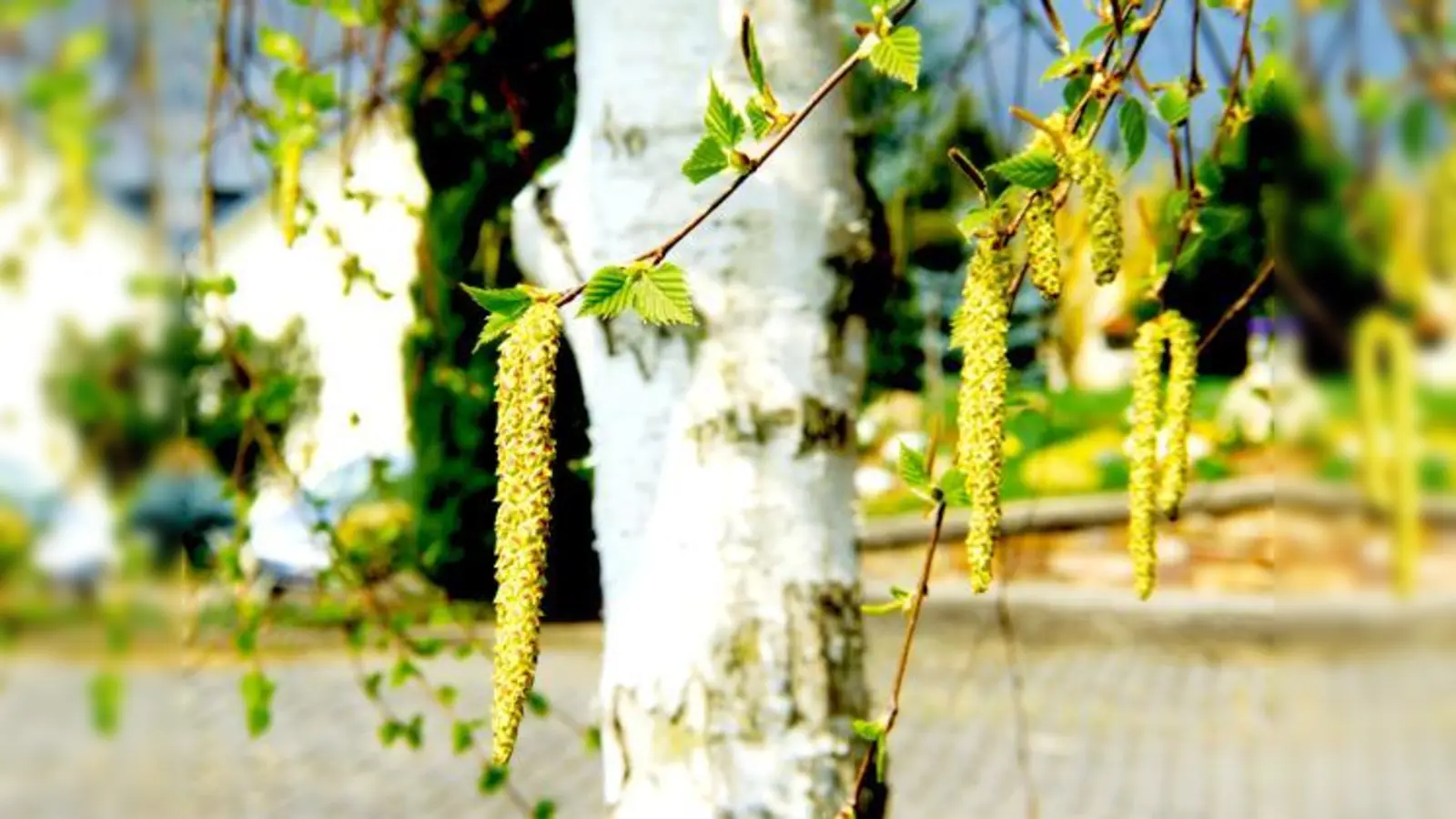 Foto: beatuerk_Fotolia.com