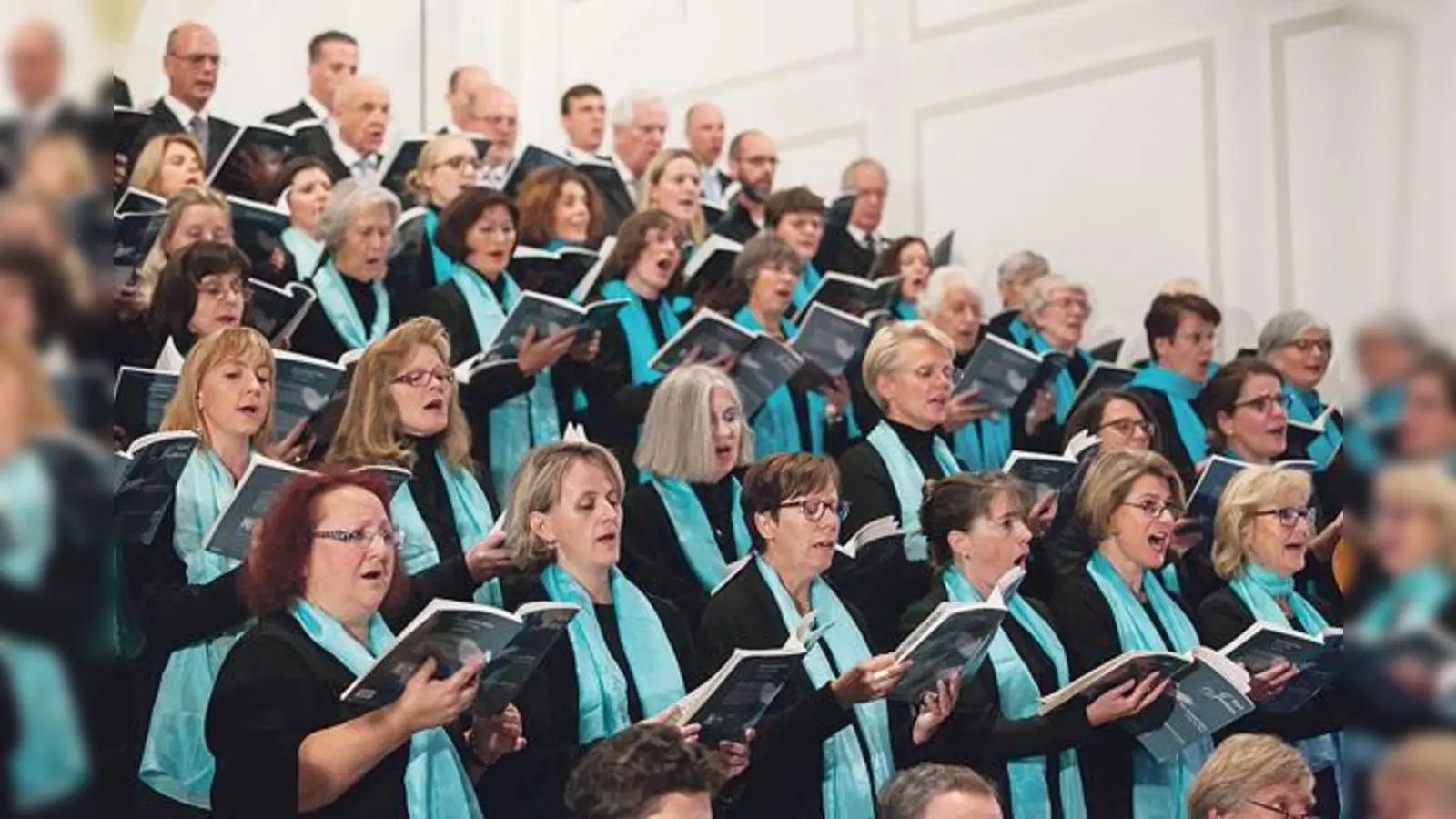 Der Chor von St. Emmeram singt die Nelsonmesse von Joseph Haydn (kleines Bild oben).	 (Foto: VA, gemeinfrei)