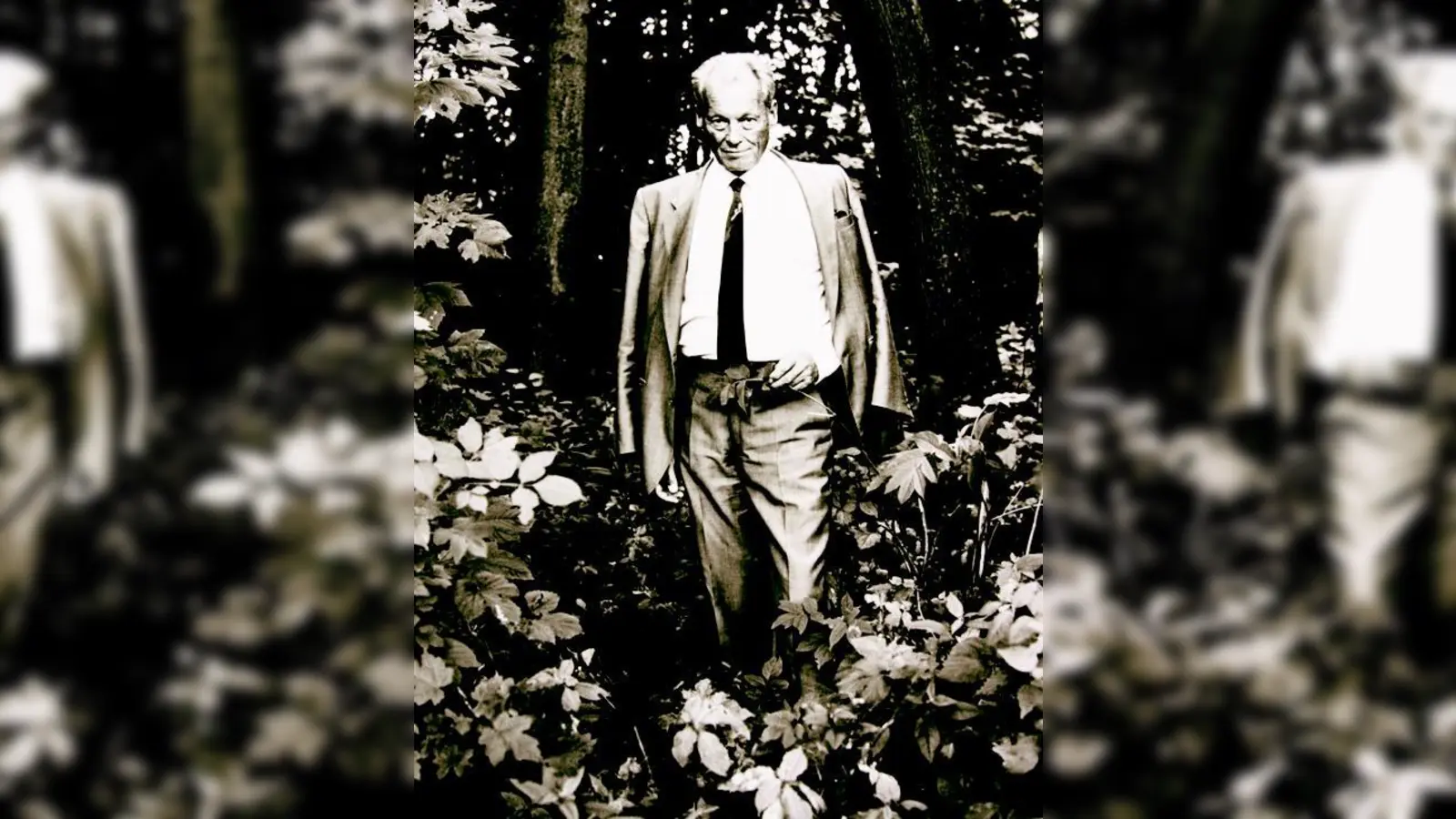 Willy Brandt portraitiert von Stefan Moses im Siebengebirge 1983.  (Foto: Münchner Stadtmuseum)