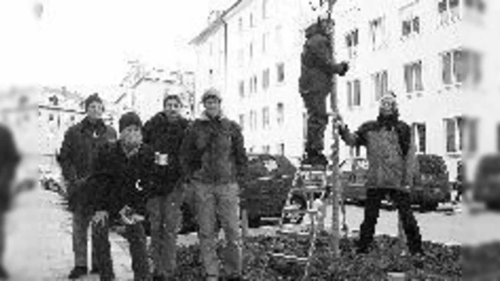 Jetzt wirds grün: Green City belebt die Unsöldstraße.	 (Foto: Green City)