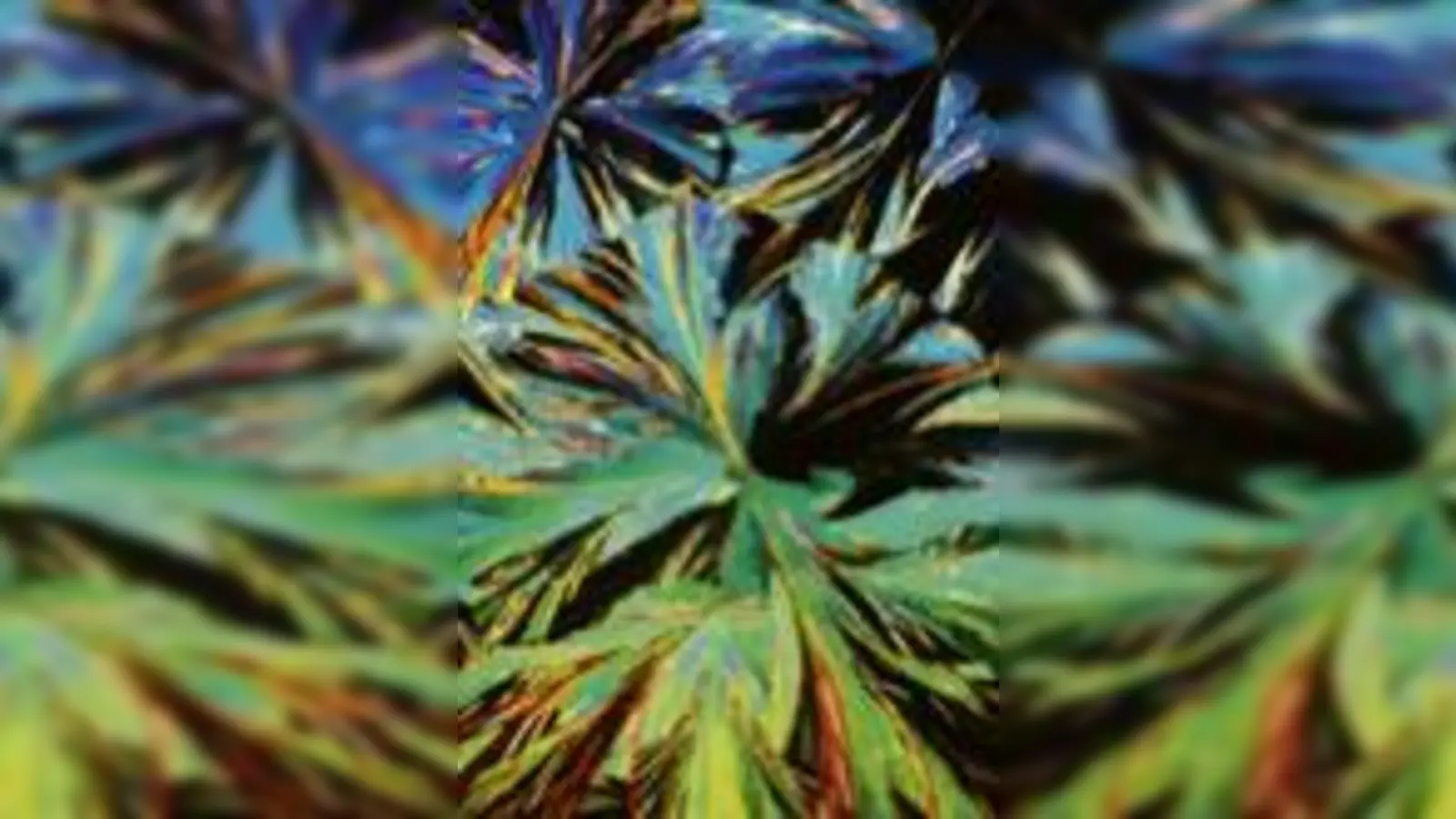 Tolnol-Sulfonsäure unter dem Mikroskop  trockener Name, farbenfrohes Konstrukt.  (Foto: Hermann Postner)