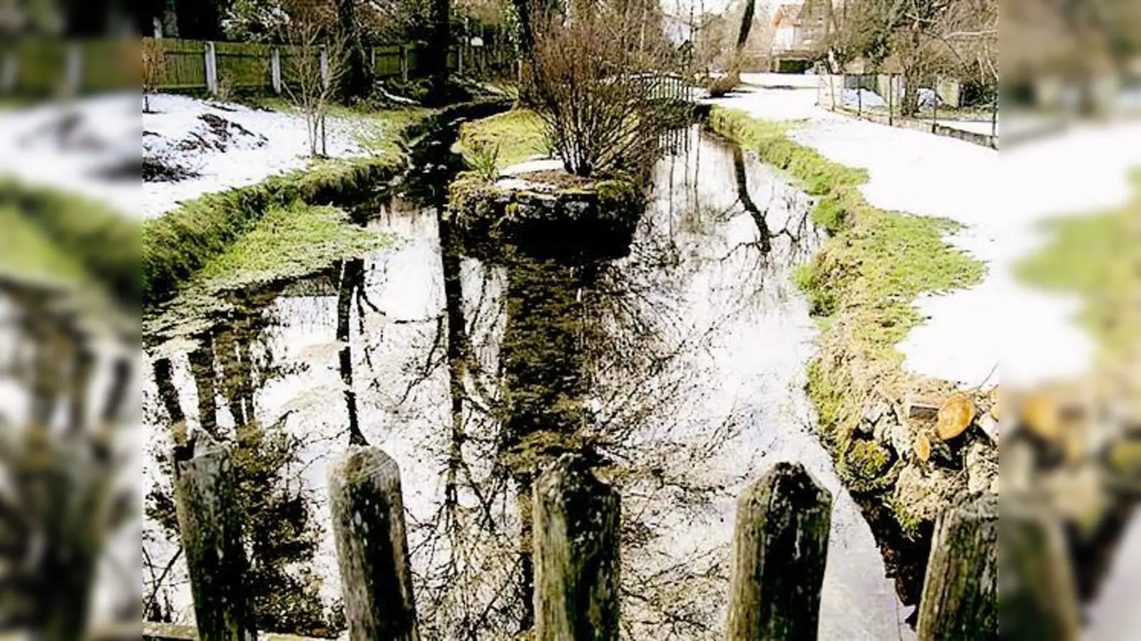 Im Stadtteilladen »baum 20« gibt es eine Dokumentation über den Hachinger Bach zu sehen.  	 (Foto: VA)
