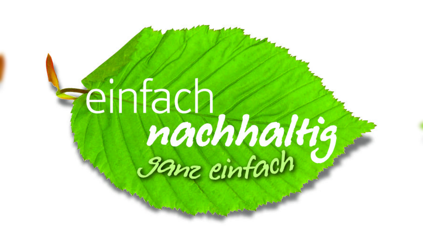 klimafreundliche-w-rme