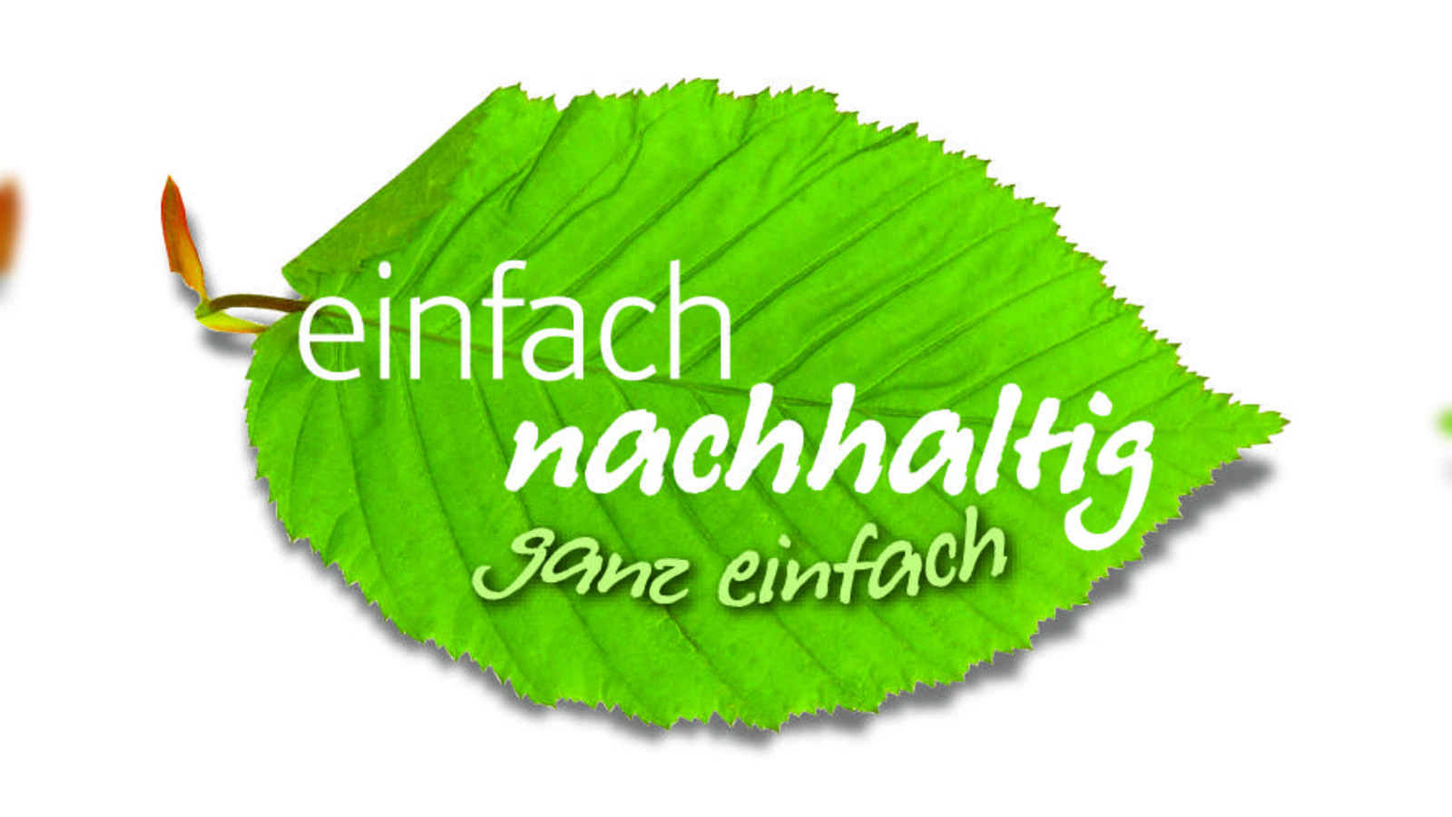 B-rgerwindprojekt-im-Forstenrieder-Park-Infoabende-im-November