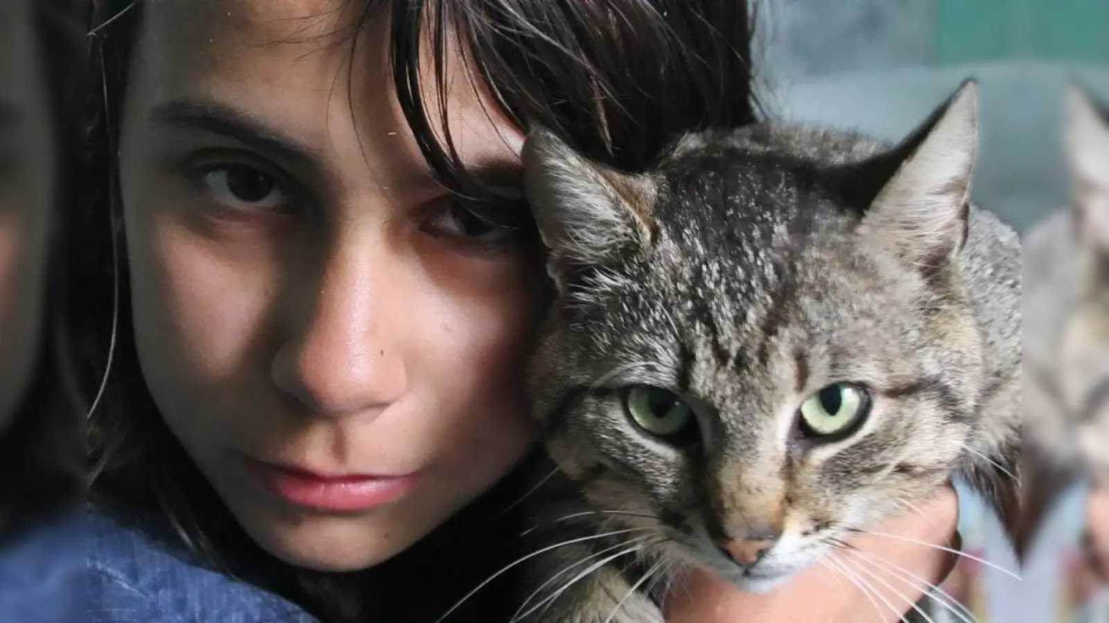 Foto: Robert Babiak/pixelio.de