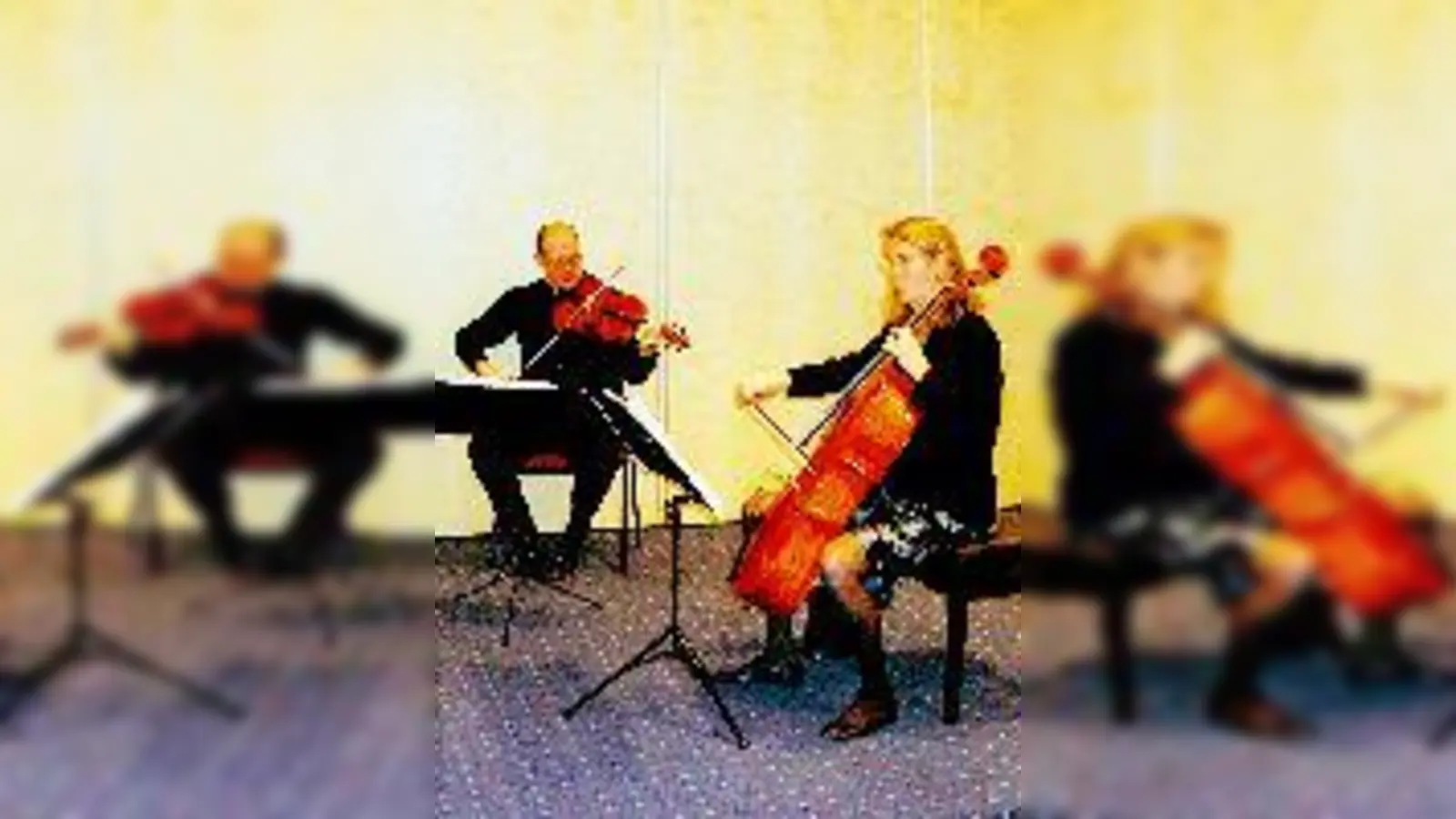 Das Ensemble Laurier spielt in der Seidlvilla.  (Foto: VA)