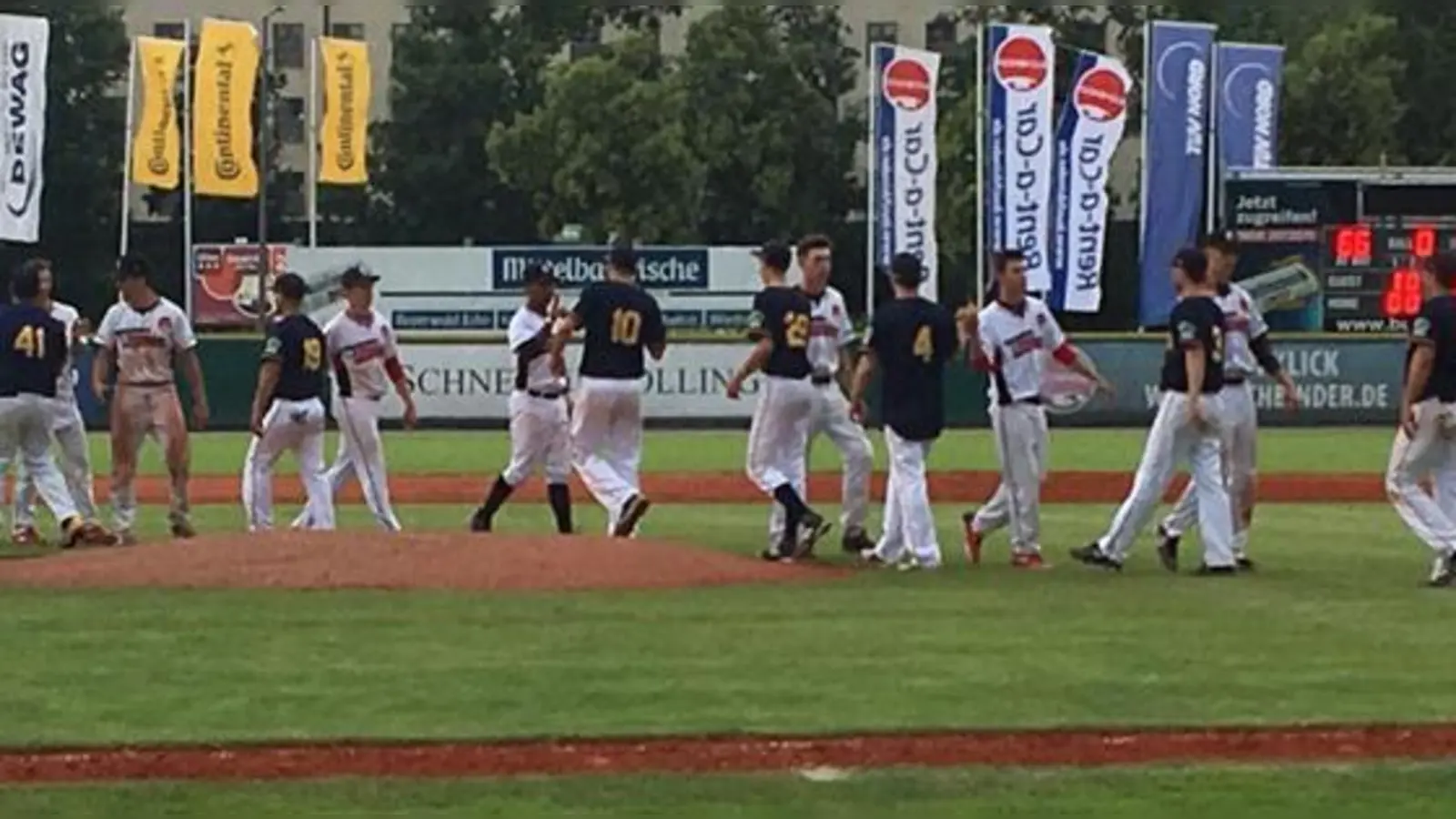 Nach dem Spiel in Regensburg klatschten die zwei Mannschaften (Caribes in dunklen Trikots) freundlich ab.	 (Foto: Caribes)