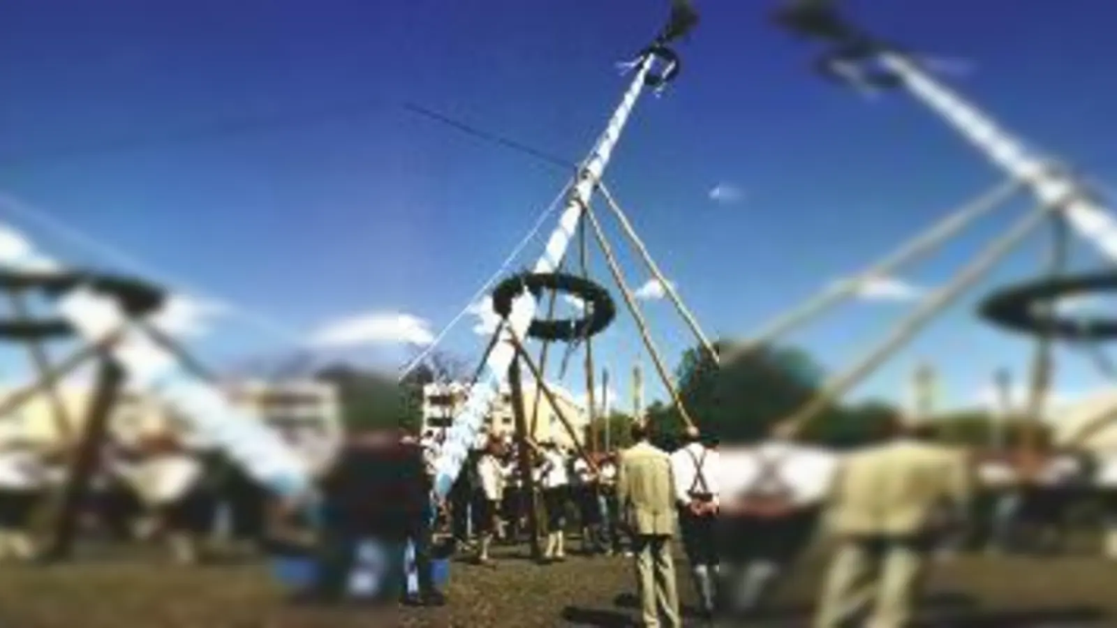 Im Hau-Ruck-Verfahren nach oben: Am 1. Mai schwitzen die Männer in Bayern beim Baumaufstellen, wie hier in Neuaubing.   (Foto: Maibaumverein Sankt Markus)