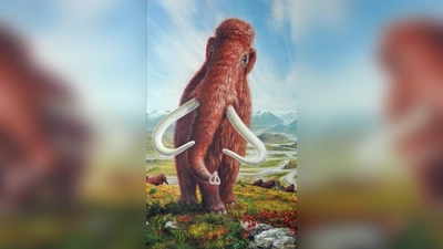 Zeichnung eines Mammuts im Voralpenland. (Foto: Grafik: Georg Klingersberger / Südostbayerisches Naturkunde- und Mammut-Museum Siegsdorf)