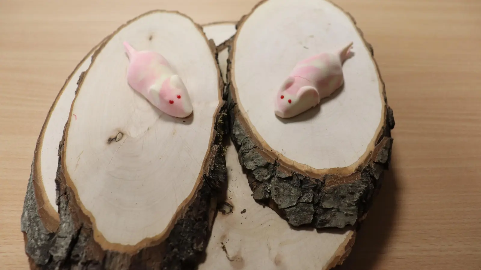 Nicht dabei, aber vielleicht auch lustig: der Mäusetreff. Die am Wettbewerb teilnehmenden Kuriositäten findet man auf der Homepage der Saubande.  (Foto: mha)