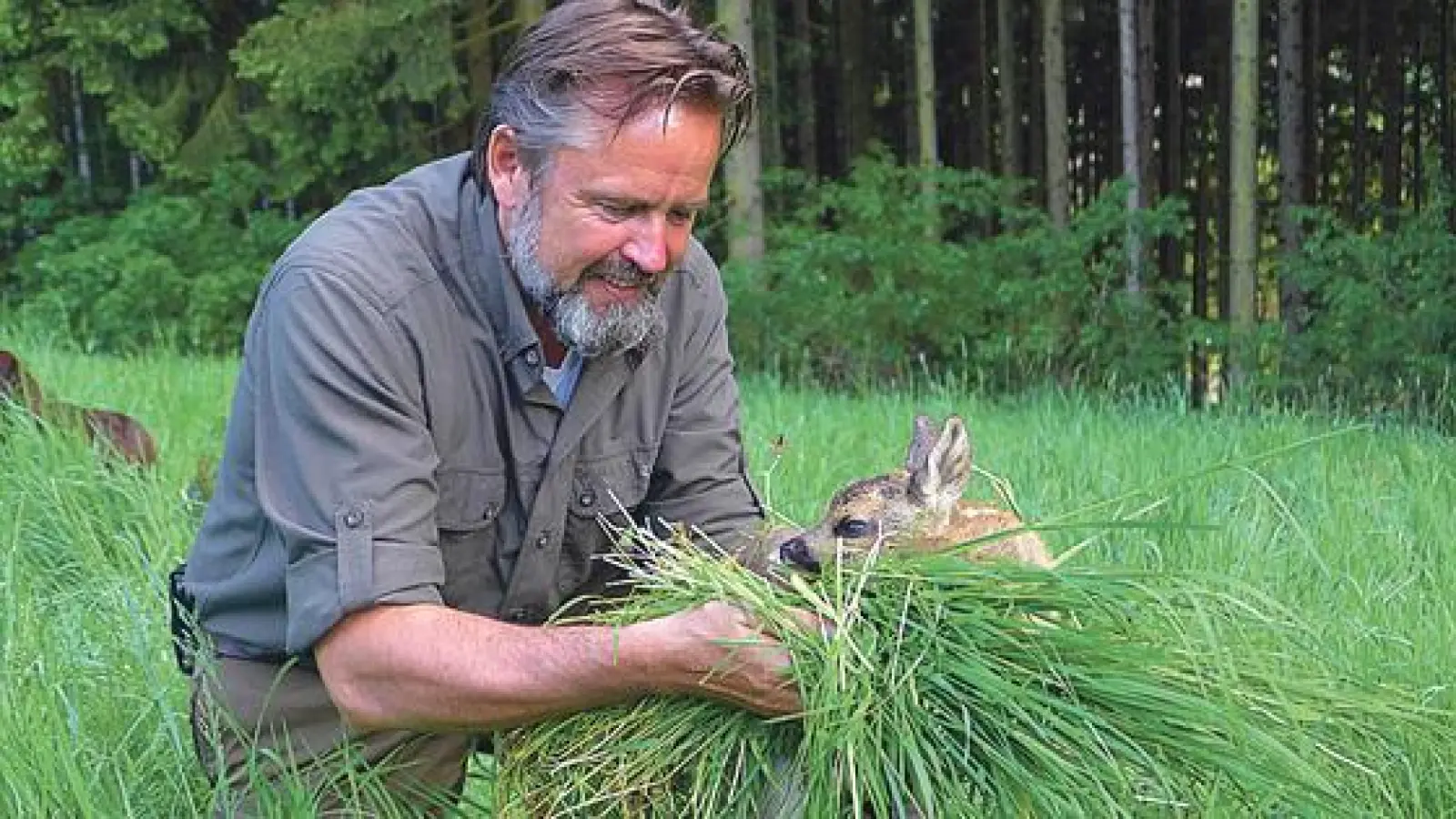 Thomas Schreder bringt ein Rehkitz in Sicherheit. 	 (Foto: VA)