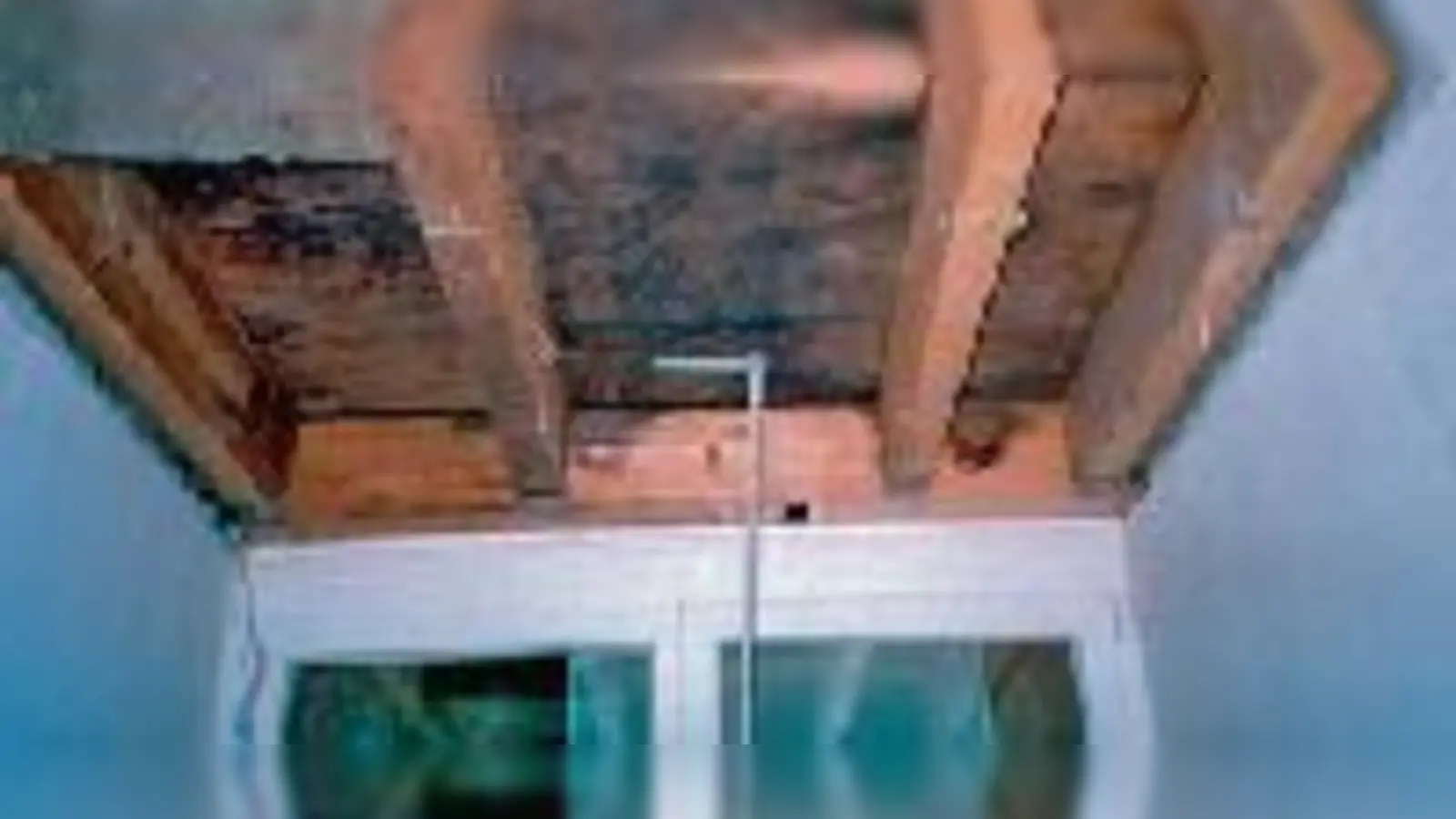 Schimmelpilzbildung ist in den letzten Jahren vermehrt zum Problem geworden. Woran das liegt und was man dagegen tun kann weiß der TÜV und bietet einen Lehrgang für Sachverständige an.	 (Foto: siga)