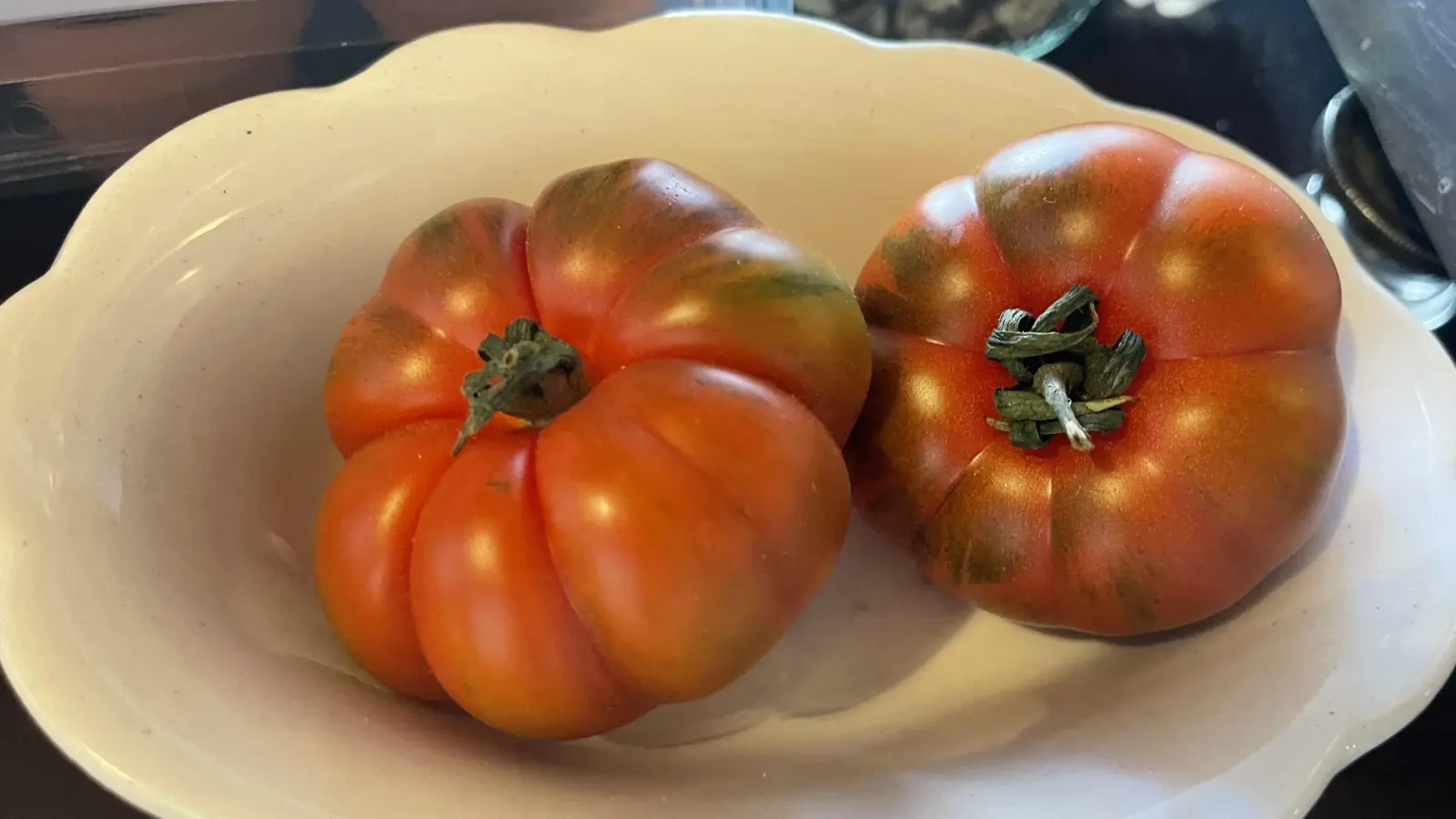 Wer Tomaten selber ziehen will, sollte die Führung mit Thorsten Thron nicht verpassen. (Foto: hw)