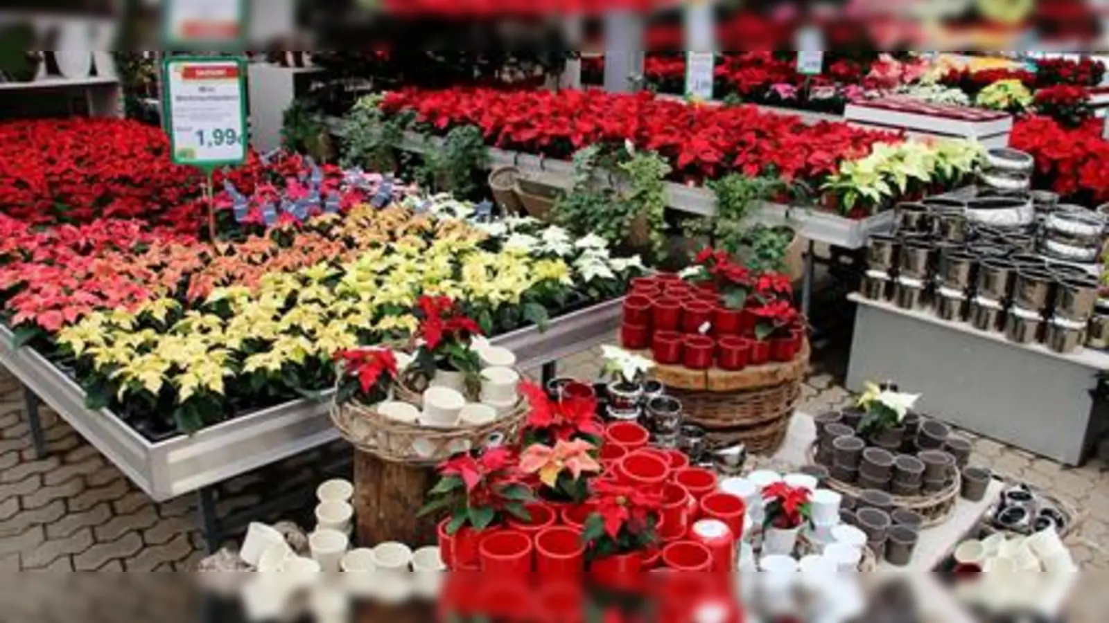 Trotz Umbau gibt es beim Gartencenter Kiefl wie immer viele saisonale Angebote. (Foto: Kiefl)