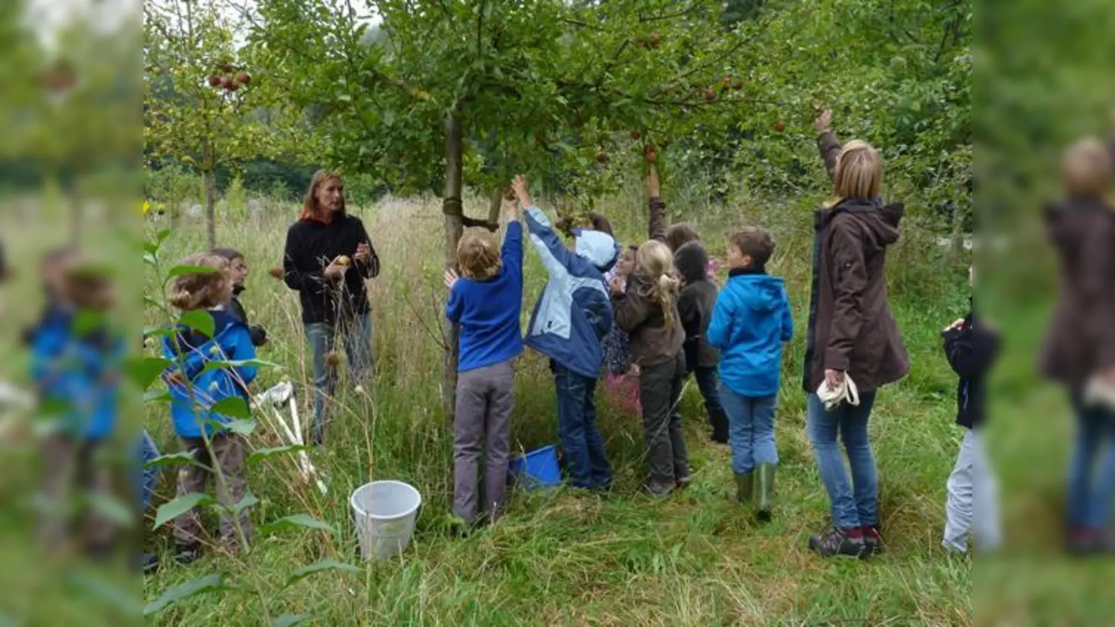 Bisher noch nicht zur Lernstation veredelt: Die Streuobstwiese des ÖBZ München.	 (Foto: VA)