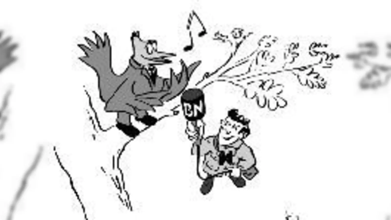 Bis auf die CSU haben alle angeschriebenen Parteien auf die Fragen des »Bund Naturschutz« geantwortet.	  (Bild: BN)