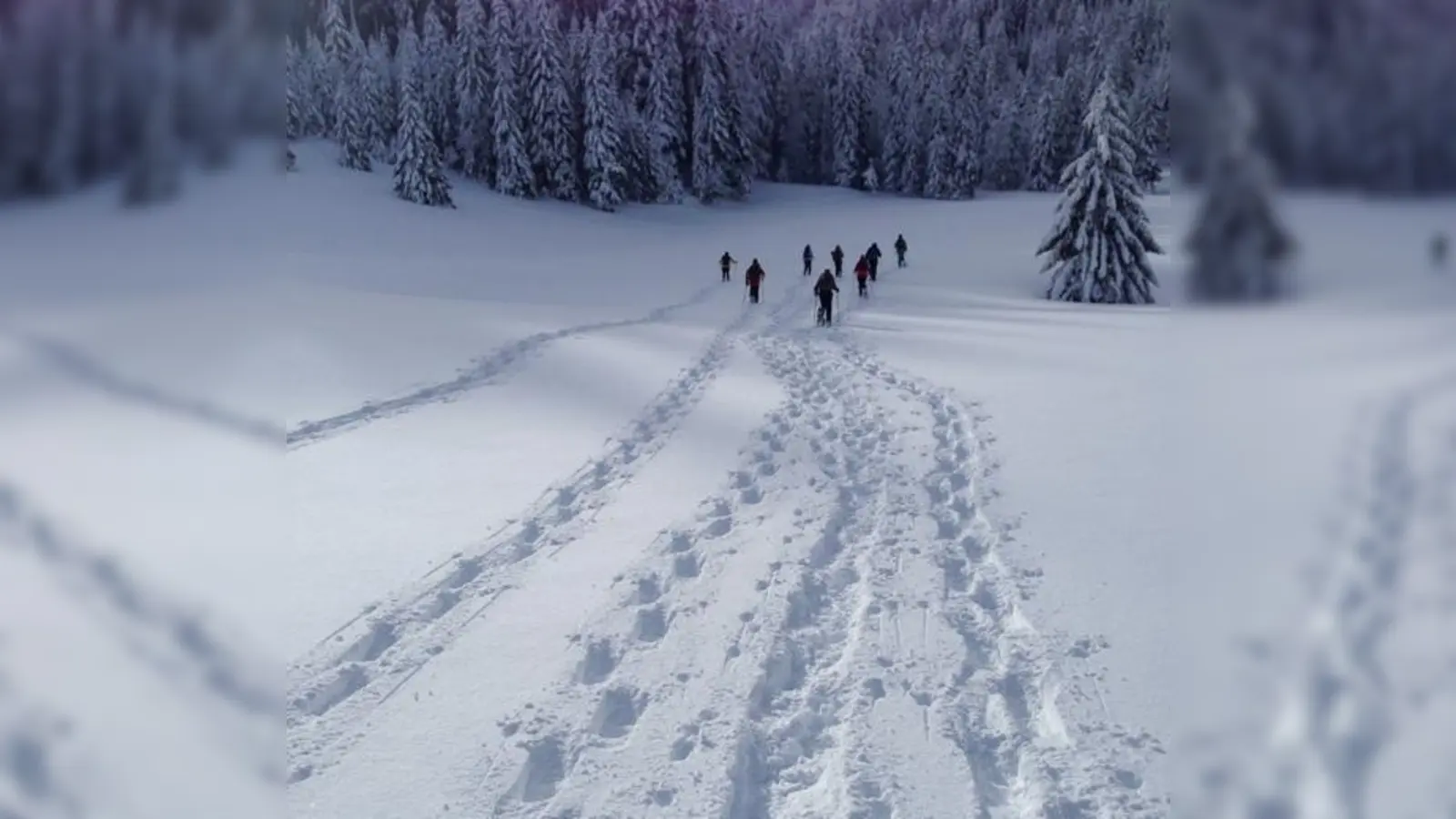 Einsam seine Spuren ziehen ist das höchste der Gefühle beim Schneeschuhwandern.  (Foto: TSV Feldkirchen)