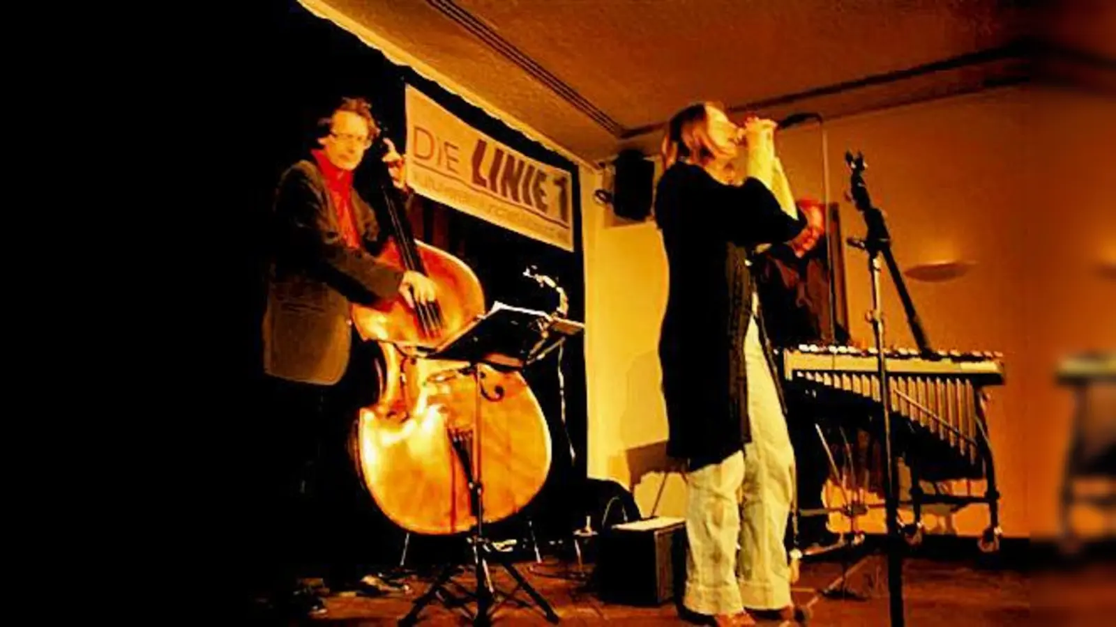 Großer Beifall für das Wolfgang Lackerschmid Trio und Stefanie Schlesinger.	 (Foto: Privat)