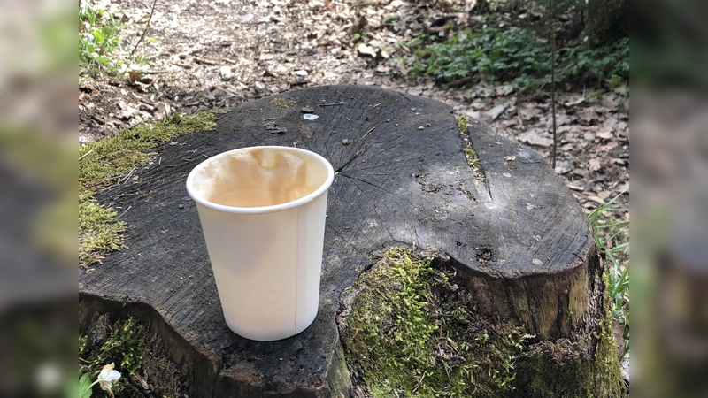 Achtlos weg geworfener Müll schadet der Umwelt. Am 14. März findet deshalb ein Ramadama statt.  (Foto: hw)