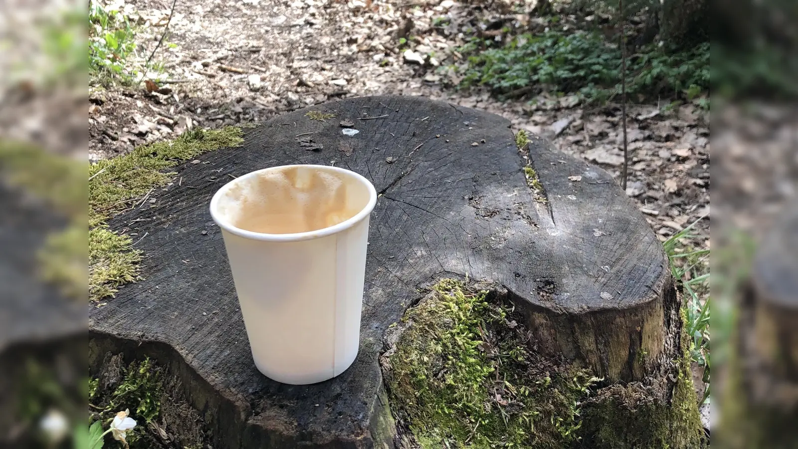 Achtlos weg geworfener Müll schadet der Umwelt. Am 6. April findet wieder eine CleanUp-Aktion statt. (Foto: hw)