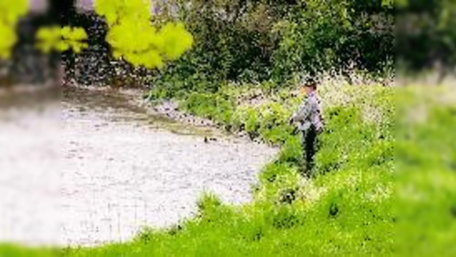 Angeln, Baden oder Beton. Wie soll die Isar fließen nach dem Corneliuswehr?	 (Fotos: mh)