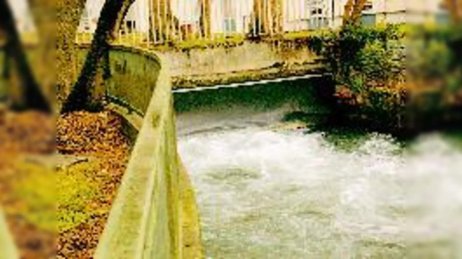 Idyllischer Blick auf den Auer Mühlbach hinter der Taubenstraße. Obwohl die Stadt hier unter dem Geländer eine »lärmhemmende Gummischürze« angebracht hat, leiden Anwohner unter dem Getöse.   (Foto: ms)